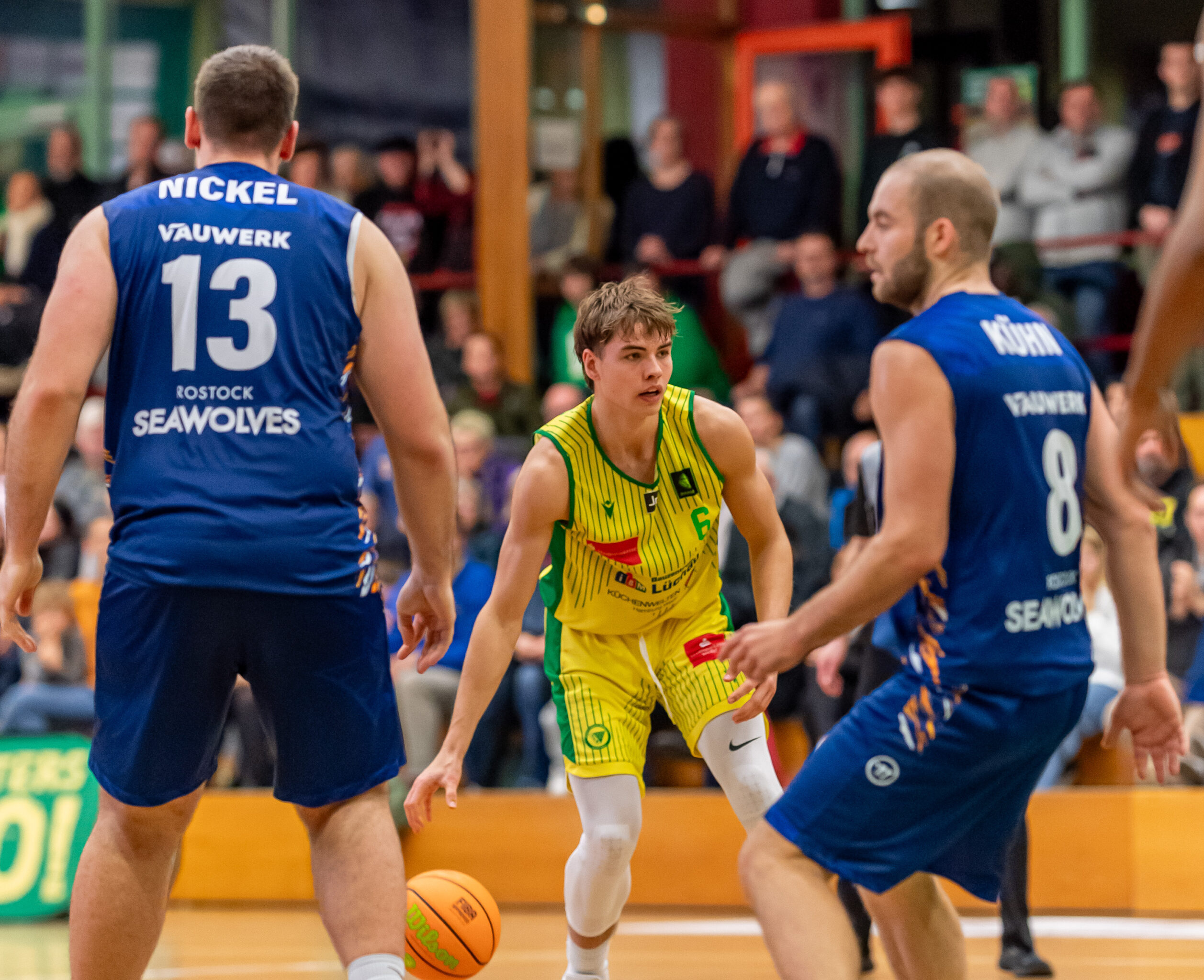 Basketballspieler in gelbem Trikot mit Ball zwischen zwei Spielern in blauen Trikots der Rostock Seawolves während eines Spiels