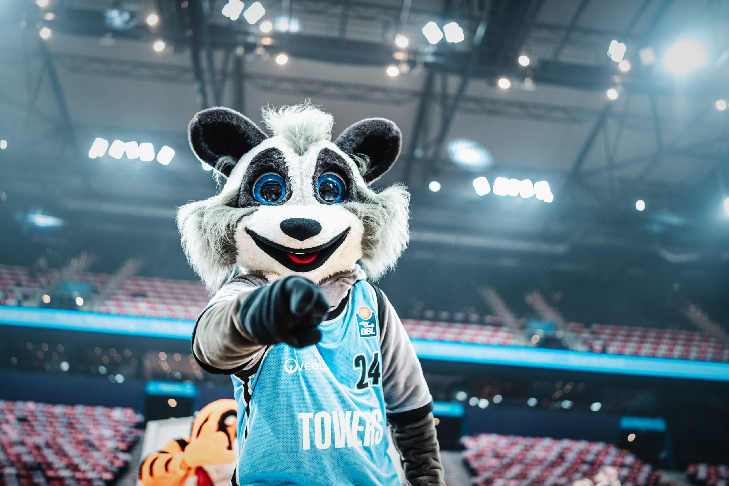 Willy, der Waschbär