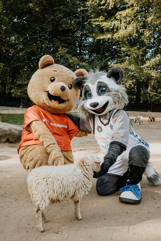 Zwei Maskottchen füttern ein Schaaf