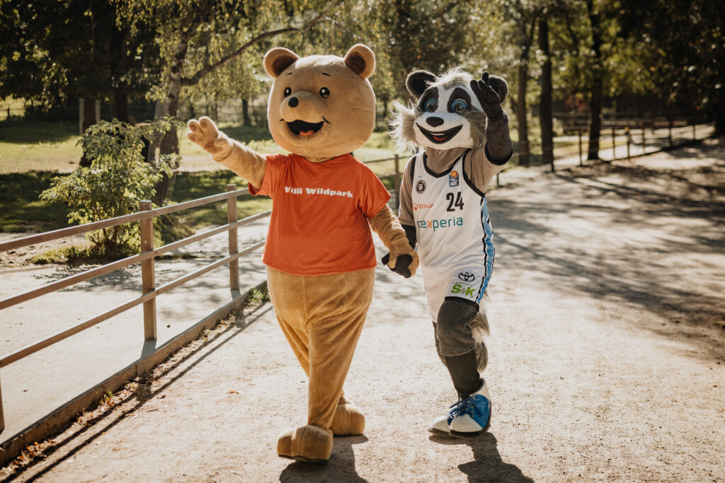 Zwei Maskottchen schlendern Hand in Hand über einen Weg